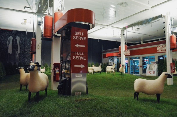 Sheep Station